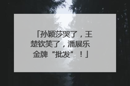 孙颖莎哭了，王楚钦笑了，潘展乐金牌“批发”！